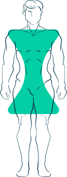 stepCurrentBodyShape.answer_2-art