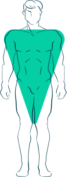 stepCurrentBodyShape.answer_5-art